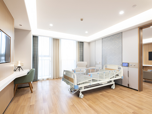 TY-Y02 ABS Manual Double - Crank Nursing Bed