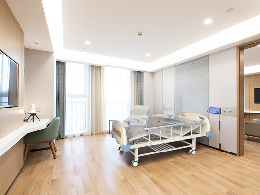 TY-Y03 ABS Manual Double - Crank Nursing Bed