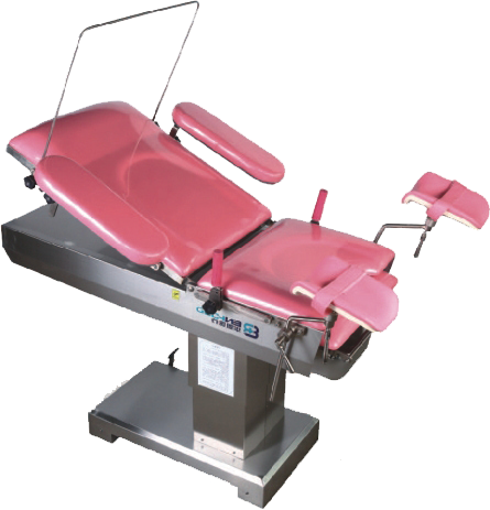 TY-S01 Multifunctional Electric Delivery Bed