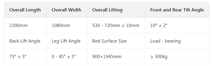 TY-A01 Luxury Multifunctional Electric Bed