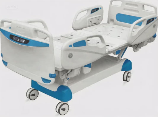 TY-A01 Luxury Multifunctional Electric Bed