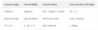 TY-A01 Luxury Multifunctional Electric Bed