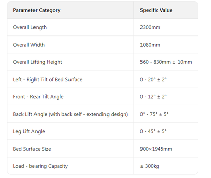 TY-A03 Electric Bed with Left and Right Side - Turning and Weighing Function