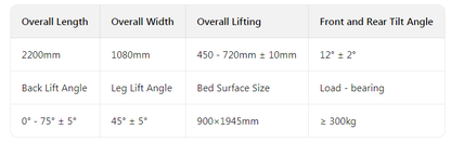 TY-A02 Multifunctional Electric Bed